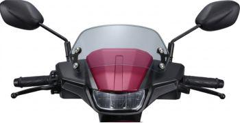 METER VISOR (TINTED)